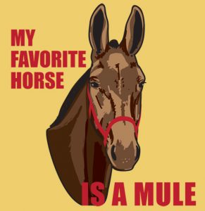 my-favorit-horse-is-my-mule